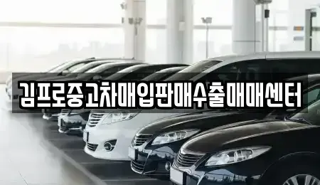 부산 수영구 민락동 중고차 전문 김프로중고차매입판매수출매매센터