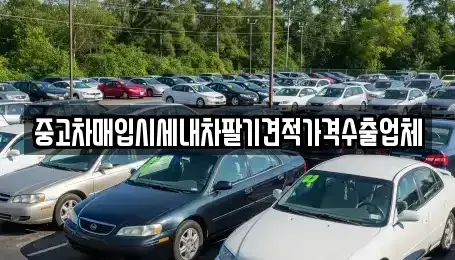 부산 수영구 민락동 중고차매입 전문 중고차매입시세내차팔기견적가격수출업체