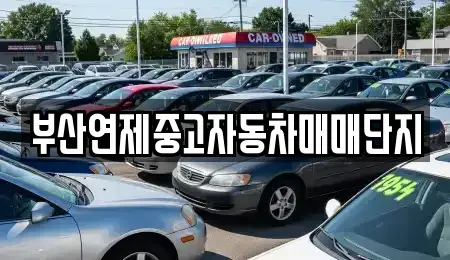 부산 연제구 연산동 중고차 전문 부산연제중고자동차매매단지