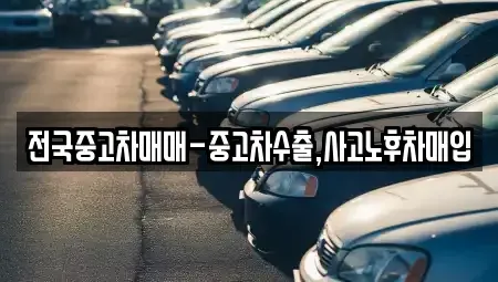 부산 영도구 남항동3가 중고차 전문 전국중고차매매-중고차수출,사고노후차매입
