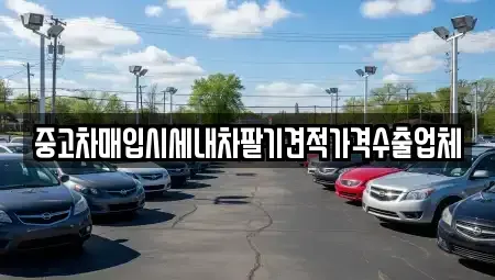 부산 영도구 남항동3가 중고차매입 전문 중고차매입시세내차팔기견적가격수출업체