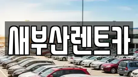 부산 영도구 대교동2가 렌트카 전문 새부산렌트카