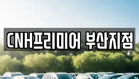 부산 중구 대청동1가 렌트카 전문 CNH프리미어 부산지점
