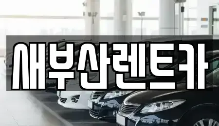 부산 중구 부평동2가 렌트카 전문 새부산렌트카