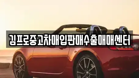 부산 중구 부평동2가 중고차매입 전문 김프로중고차매입판매수출매매센터