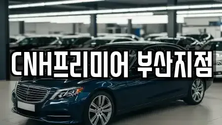 부산 중구 중앙동5가 렌트카 전문 CNH프리미어 부산지점