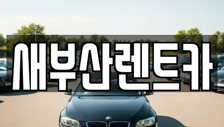부산 중구 중앙동5가 렌트카 전문 새부산렌트카