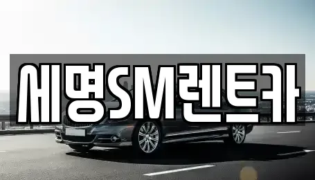 부산 중구 중앙동5가 렌트카 전문 세명SM렌트카
