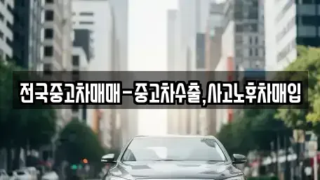 부산 중구 중앙동5가 중고차 전문 전국중고차매매-중고차수출,사고노후차매입