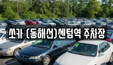 부산 해운대구 재송동 렌트카 전문 쏘카 (동해선)센텀역 주차장