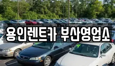 부산 해운대구 재송동 렌트카 전문 용인렌트카 부산영업소