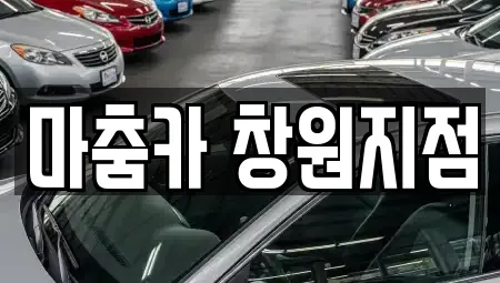 부산광역시 강서구 녹산동 렌트카 전문 마춤카 창원지점