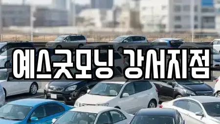 부산광역시 강서구 녹산동 렌트카 전문 예스굿모닝 강서지점