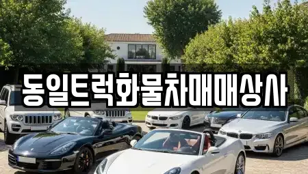 부산광역시 강서구 녹산동 중고차 전문 동일트럭화물차매매상사