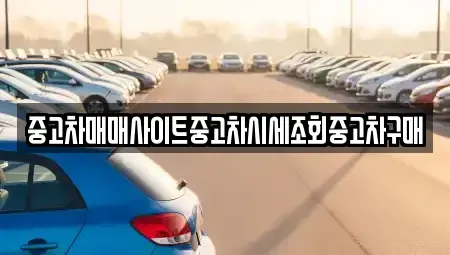 부산광역시 강서구 녹산동 중고차 전문 중고차매매사이트중고차시세조회중고차구매