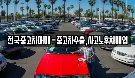 부산광역시 강서구 녹산동 중고차매입 전문 전국중고차매매-중고차수출,사고노후차매입