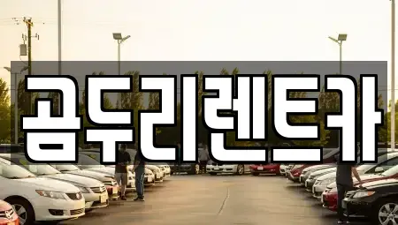 부산광역시 금정구 선동 렌트카 전문 곰두리렌트카