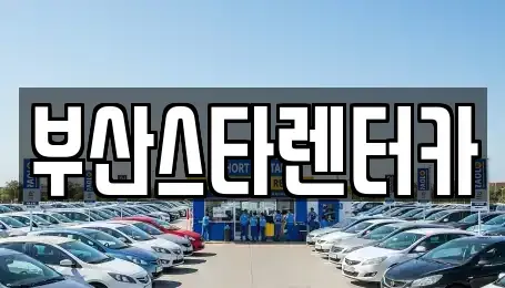 부산광역시 금정구 선동 렌트카 전문 부산스타렌터카