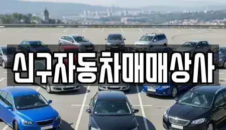 부산광역시 금정구 선동 중고차매매 전문 신구자동차매매상사