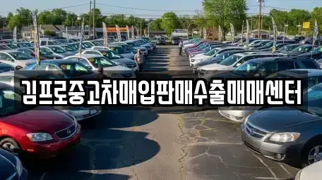 부산광역시 금정구 선동 중고차매입 전문 김프로중고차매입판매수출매매센터
