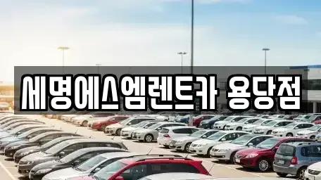부산광역시 남구 용당동 렌트카 전문 세명에스엠렌트카 용당점