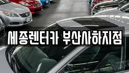 부산광역시 사하구 당리동 렌트카 전문 세종렌터카 부산사하지점