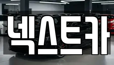 부산광역시 사하구 당리동 장기렌트카 전문 넥스트카