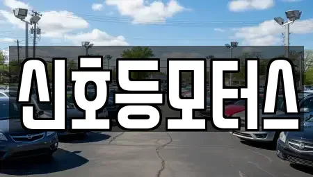부산광역시 사하구 당리동 중고차매매 전문 신호등모터스
