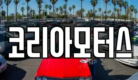 부산광역시 사하구 당리동 중고차매매 전문 코리아모터스