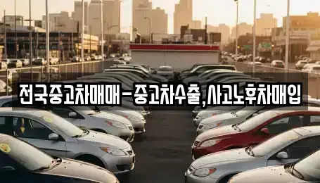 부산광역시 사하구 당리동 중고차매입 전문 전국중고차매매-중고차수출,사고노후차매입