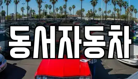 부산광역시 중구 부평동1가 중고차 전문 동서자동차