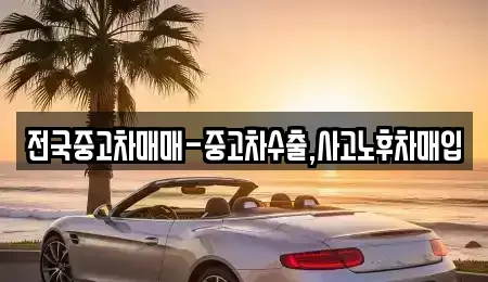 부산광역시 중구 부평동1가 장기렌트카,중고차,렌트카,단기렌트카,중고차매입,중고차매매