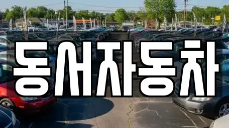 부산광역시 해운대구 우동 중고차 전문 동서자동차
