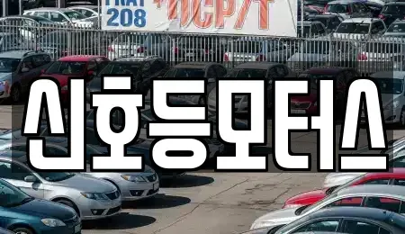 부산광역시 해운대구 우동 중고차매매 전문 신호등모터스