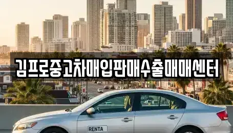부산광역시 해운대구 우동 중고차매입 전문 김프로중고차매입판매수출매매센터