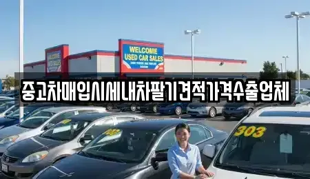 부산광역시 해운대구 우동 중고차매입 전문 중고차매입시세내차팔기견적가격수출업체