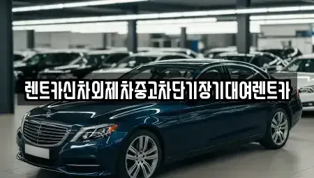 서울 강남구 자곡동 단기렌트카 전문 렌트카신차외제차중고차단기장기대여렌트카