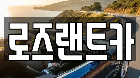 서울 강남구 자곡동 단기렌트카 전문 로즈랜트카