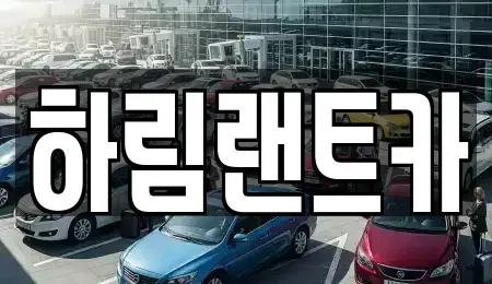 서울 강남구 자곡동 단기렌트카 전문 하림랜트카