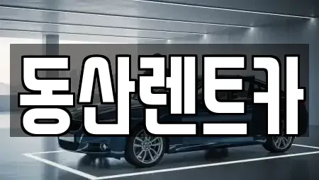 서울 강남구 자곡동 렌트카 전문 동산렌트카