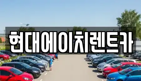 서울 강남구 자곡동 렌트카 전문 현대에이치렌트카