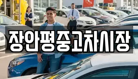 서울 강남구 자곡동 중고차매매 전문 장안평중고차시장