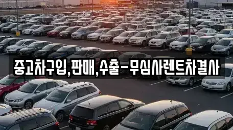 서울 강남구 자곡동 중고차매매 전문 중고차구입,판매,수출-무심사렌트차결사