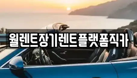 서울 강북구 장기렌트카 전문 월렌트장기렌트플랫폼직카