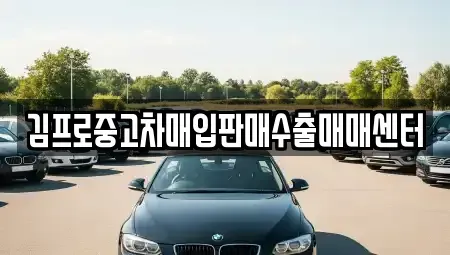 서울 강북구 중고차매입 전문 김프로중고차매입판매수출매매센터