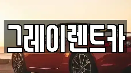 서울 관악구 단기렌트카 전문 그레이렌트카