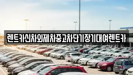 서울 광진구 화양동 장기렌트카 전문 렌트카신차외제차중고차단기장기대여렌트카