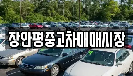 서울 광진구 화양동 중고차 전문 장안평중고차매매시장