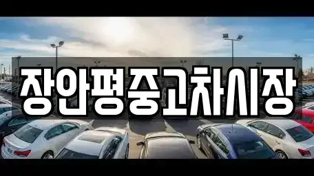 서울 광진구 화양동 중고차 전문 장안평중고차시장