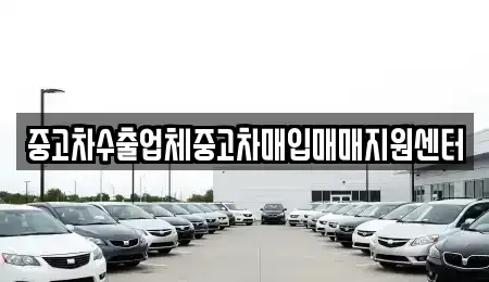 서울 광진구 화양동 중고차매입 전문 중고차수출업체중고차매입매매지원센터